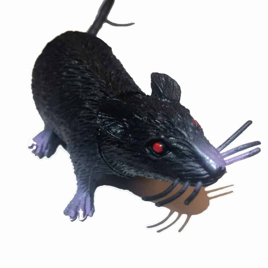 Sneaky rongeur Petit rat Géocache Nano Tube Conteneur-Prêt à masquer Imperméable 
