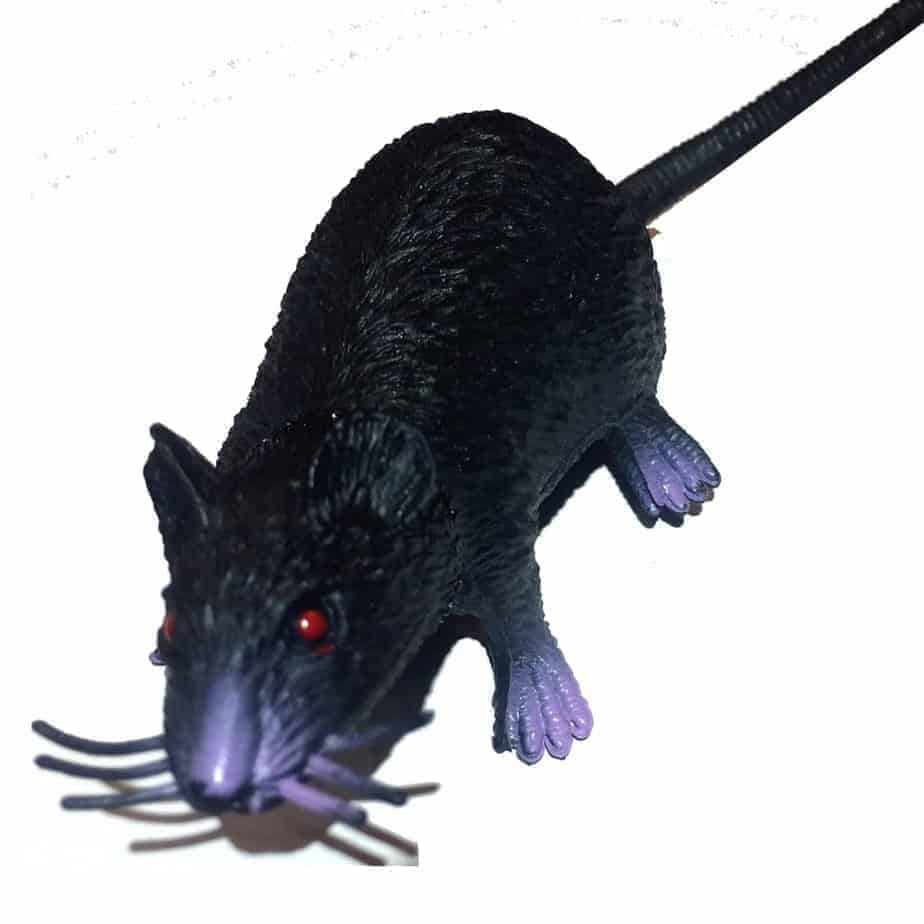 Sneaky rongeur Petit rat Géocache Nano Tube Conteneur-Prêt à masquer Imperméable 