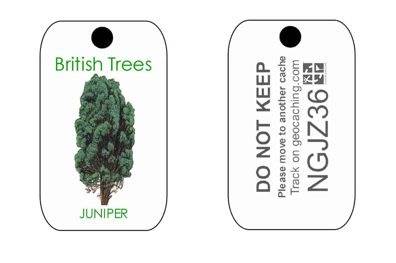 British Trees Trackable Tag for Geocaching series of Tags (like a Travel Bug) - Image 10